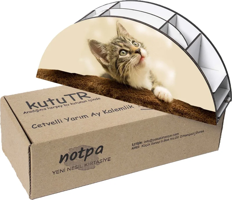 Notpa Wooden Vip Cat Rainbow Ruler Desktop Pencil Holder Organizer For Kids VIP123