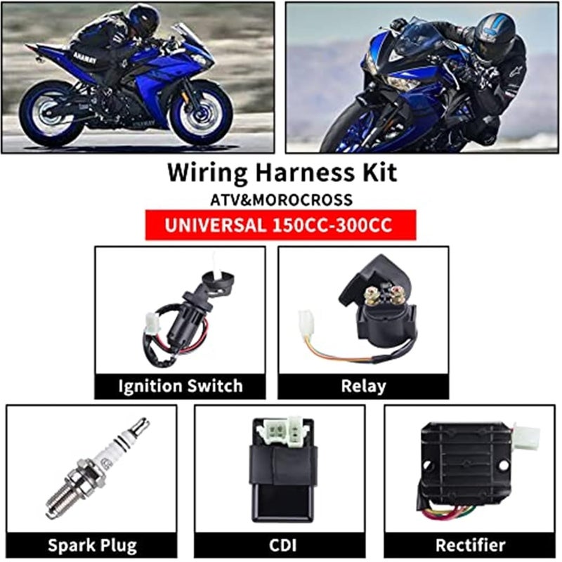 Wivplex Complete Electrics Wiring Harness for ATVs and Dirt Bikes - Image 3