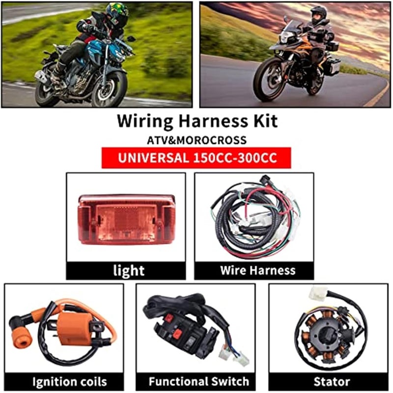 Wivplex Complete Electrics Wiring Harness for ATVs and Dirt Bikes - Image 2