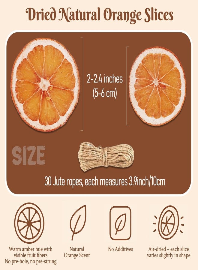Pextian 30pcs Dried Orange Slices with Twine Strings, Natural Dehydrated Orange Slices, Christmas Wreath Making Supplies for X-mas Tree Decoration, Garland, Centerpiece, DIY Crafts, Gift Wrapping, Potpourri - Image 2