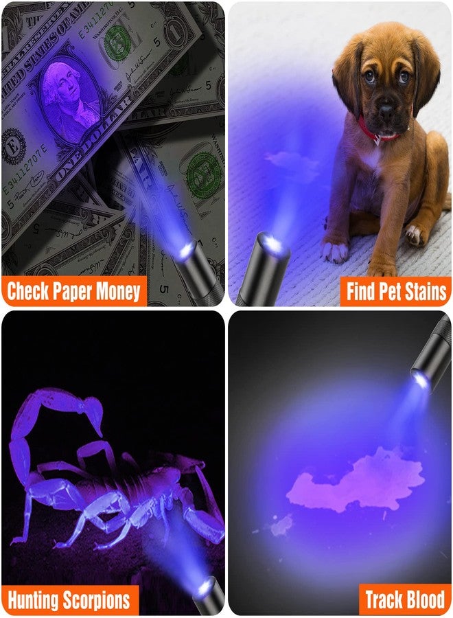 إيفربايت مصباح يدوي EverBrite بضوء أحمر مع ضوء أسود 395 نانومتر/ضوء أبيض/فوق بنفسجي، مصباح جيب LED متعدد الوظائف، بطاريات AAA مرفقة، للرؤية الليلية، والكشف عن بقع الحيوانات الأليفة، والتخييم - Image 3