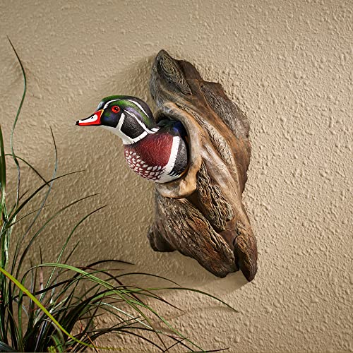 Wild Wings Wood Duck Wall Sculpture by Phil Galatas HandPainted 3D Cold Cast Wildlife Dcor with Realistic Glass Eyes 16 H Lifelike Waterfowl Art - Image 3