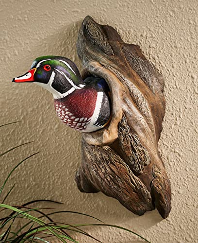 Wild Wings Wood Duck Wall Sculpture by Phil Galatas HandPainted 3D Cold Cast Wildlife Dcor with Realistic Glass Eyes 16 H Lifelike Waterfowl Art - Image 1