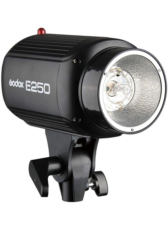 Godox GODOX E250 Mini Photography Studio Strobe Flash Lighting Lamp Head, 250Ws Power, 5600K Color Temperature, 110V  - Image 1