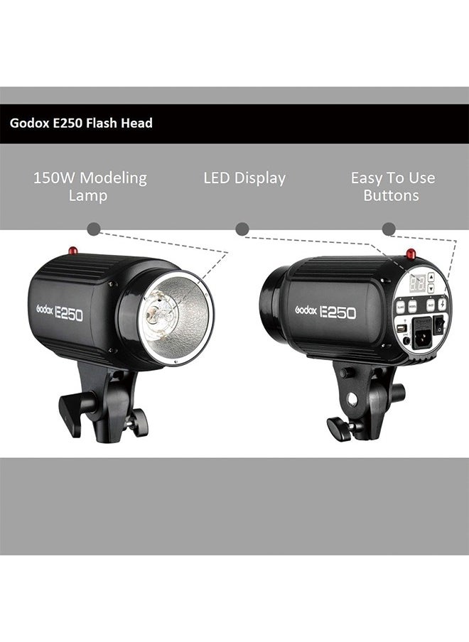 Godox GODOX E250 Mini Photography Studio Strobe Flash Lighting Lamp Head, 250Ws Power, 5600K Color Temperature, 110V  - Image 4