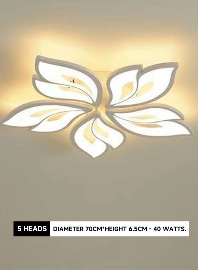 كامل الطيف الواقي للعين، 5-Light، 3-Color، electrodeless، LED حديث غرفة النوم، غرفة المعيشة ومصباح سقف الدراسة -مصمم مصباح غرفة الإبداع  - Image 5