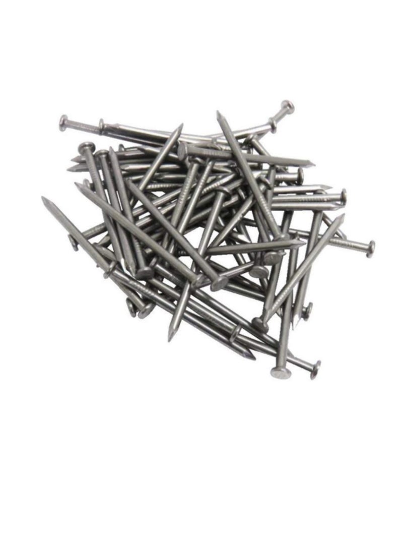High Strength Round Head Nails For Carpentry Hardware Electrical Etc (600, 1 inch) - Image 1