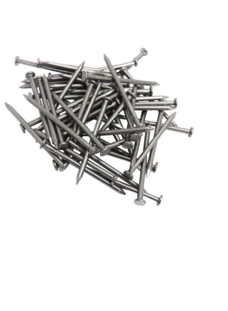 High Strength Round Head Nails For Carpentry Hardware Electrical Etc (600, 1 inch) - Image 2