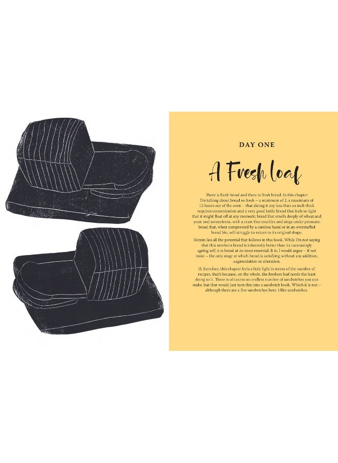 null - Every Last Crumb: From fresh loaf to final crust, recipes to make the most of your bread - Image 1