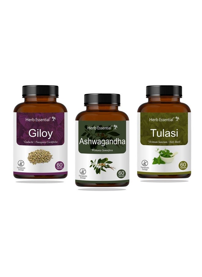 Herb Essential - Herb Essential Immunity Kit Combo,Giloy, Ashwagandha, Tulsi - Image 1