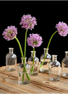 Serene Spaces Living Bud Vases Apothecary Jars Decorative Glass Bottles Centerpiece For Wedding Reception Mini Flower Vases Small Medicine Bottles For Home Decor (Clear Set Of 6)  - Image 4
