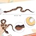 Lohoee 2Pcs Realistic Fake Snakes Toy Lifelike Rubber Rattlesnake Snake Scare Birds and Squirrels Tricky Model Snake Toys for Gift Party Favors or Halloween Decoration Props - Image 3