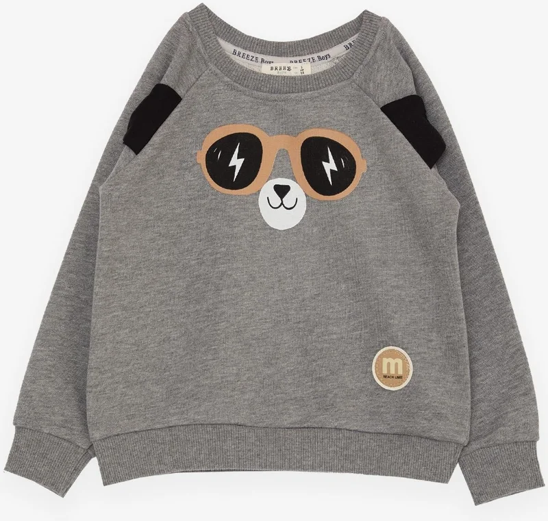 Breeze Boy Child Sweatshirt Cute Teddy Bear Printed with Moving Ears 2-6 Years, Dark Gray Melange