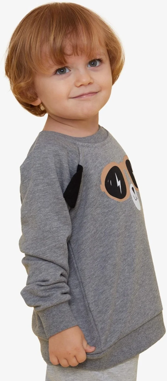 Breeze Boy Child Sweatshirt Cute Teddy Bear Printed with Moving Ears 2-6 Years, Dark Gray Melange