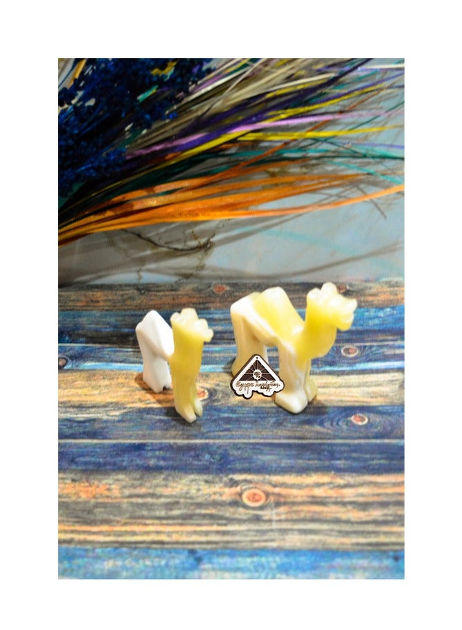 ايجيبت انتيكس اتنين مجسم جمل من حجر الالباستر من ايجيبت انتيكس صناعة يدوية 100%  طبيعي - Image 2