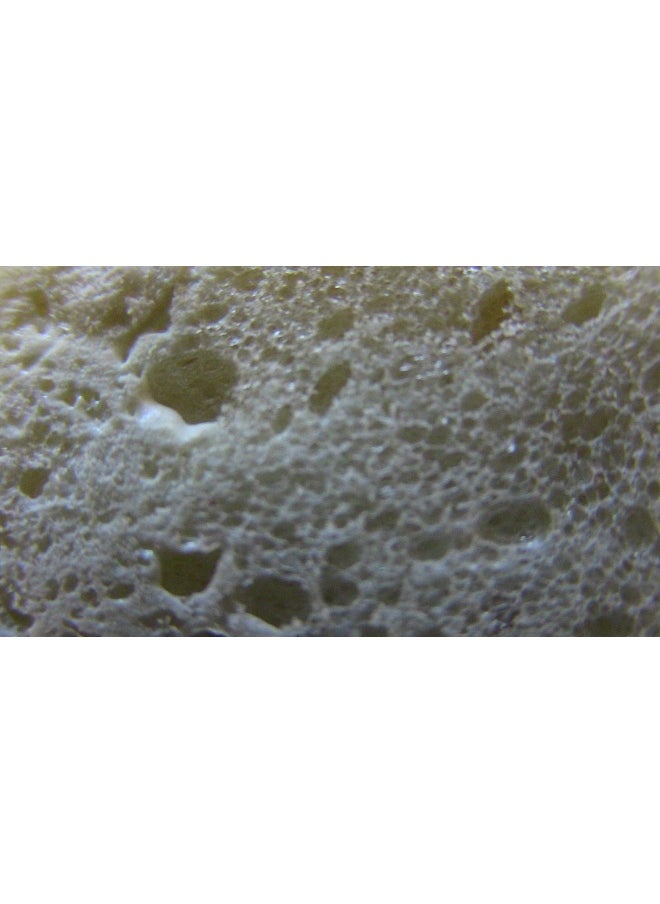 0912 Foam And Fill Large Gaps And Cracks Expanding Polyurethane Sealant 20 Oz Off White Pack Of 1