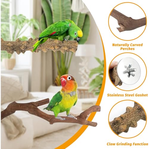 kathson 5pcs Natural Parrot Perch for Cage Wooden Bird Perches Grape Bird Stick Parakeet Climbing Standing Branches Toy Chewable Cage Accessories for Small Budgies Cockatiels Lovebirds Budgies - Image 5
