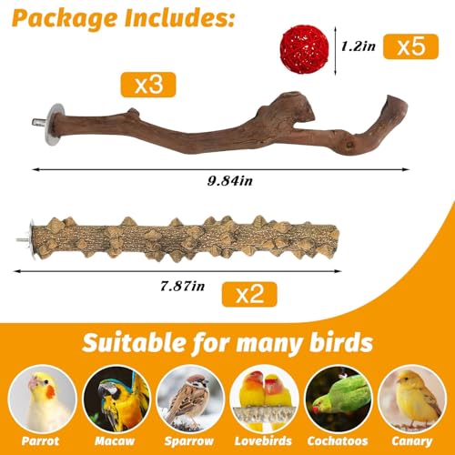 kathson 5pcs Natural Parrot Perch for Cage Wooden Bird Perches Grape Bird Stick Parakeet Climbing Standing Branches Toy Chewable Cage Accessories for Small Budgies Cockatiels Lovebirds Budgies - Image 2