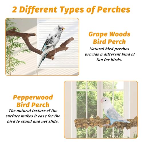kathson 5pcs Natural Parrot Perch for Cage Wooden Bird Perches Grape Bird Stick Parakeet Climbing Standing Branches Toy Chewable Cage Accessories for Small Budgies Cockatiels Lovebirds Budgies - Image 4