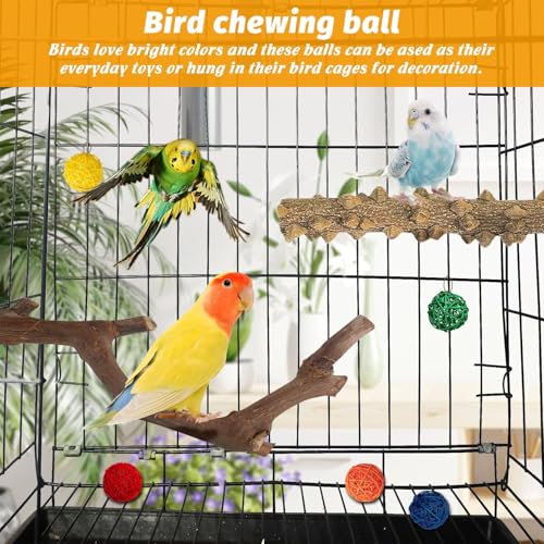 kathson 5pcs Natural Parrot Perch for Cage Wooden Bird Perches Grape Bird Stick Parakeet Climbing Standing Branches Toy Chewable Cage Accessories for Small Budgies Cockatiels Lovebirds Budgies - Image 3