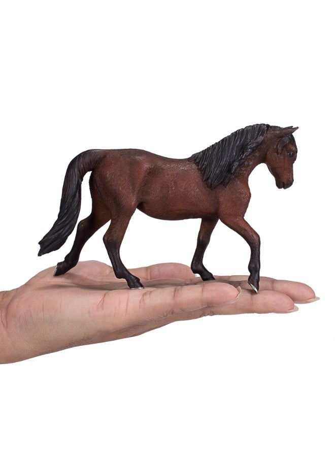 Mojo Morgan Stallion Bay-XL - Image 1