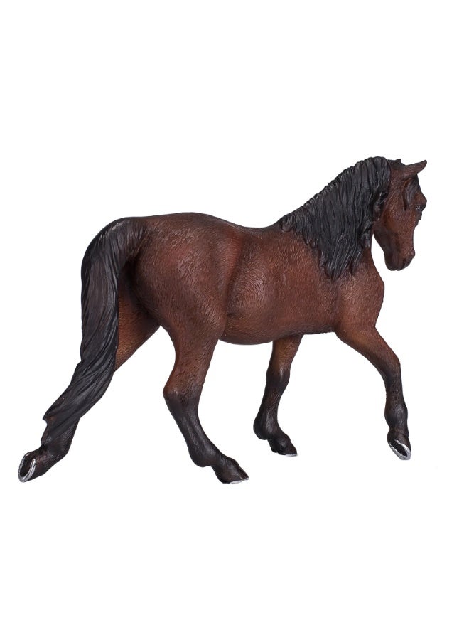 Mojo Morgan Stallion Bay-XL - Image 3