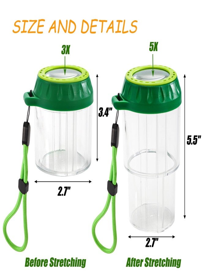 ZENFUN 3 Pcs Insert Bug Viewer, Stretchable Magnifying Insect Box Bug Catcher Kit with Rope Handle, Bug Magnifier Container Critter Bug Jar, Magnifier Backyard Explorer - Image 2