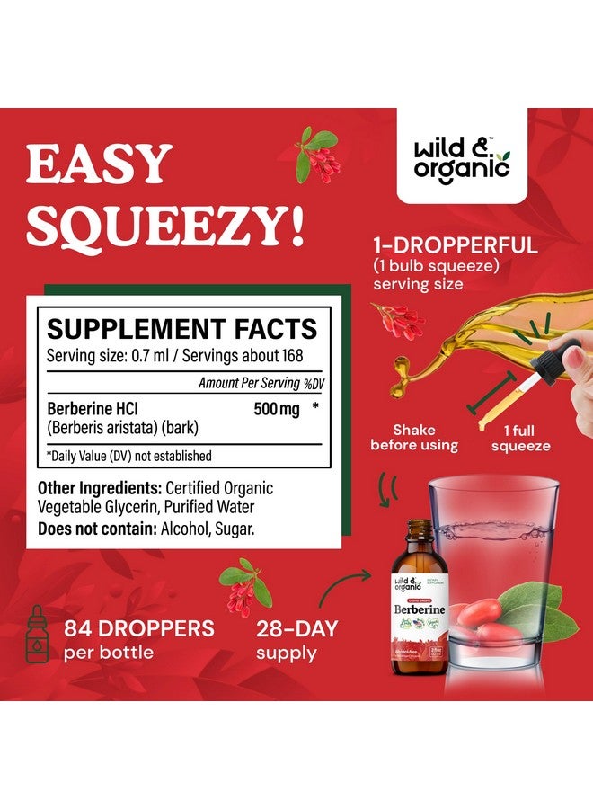 Wild & Organic Wild & Organic Berberine Liquid Drops - 500mg Berberine Supplement HCL for Overall Support - Natural Extract Tincture - Vegan, Alcohol & Sugar-Free - 2 fl oz  - Image 3