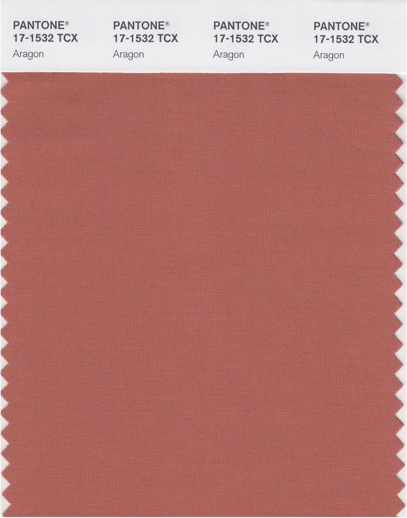 Smart 17-1532X Color Swatch Card, Aragon