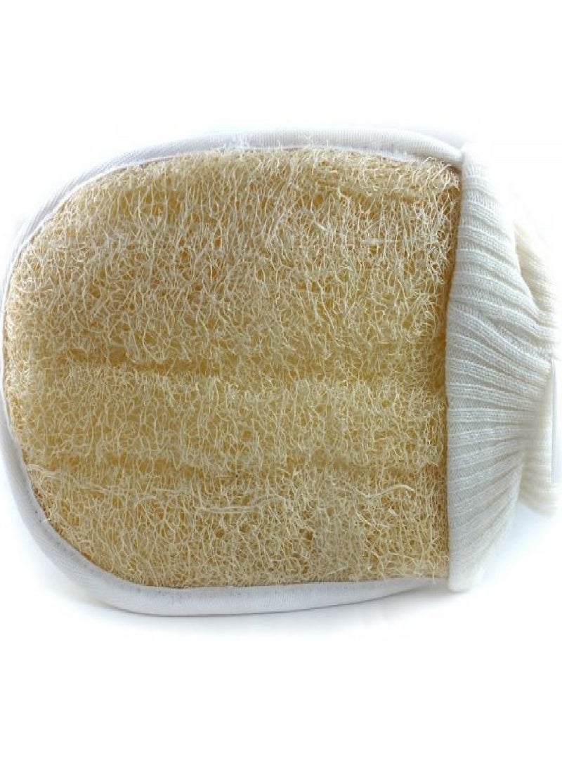 Loofah - Loofah palm, two sides, 414 - Image 1