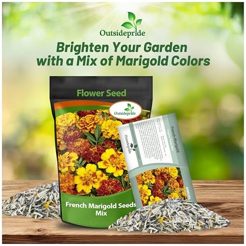 Outsidepride French Marigold Seeds Mix - 1000 Pcs Annual, Compact, Heat & Drought Tolerant Flower Seeds for Planting w/Orange & Yellow Prolific Blooms, Ideal for Vibrant Pollinator Gardens - Image 4
