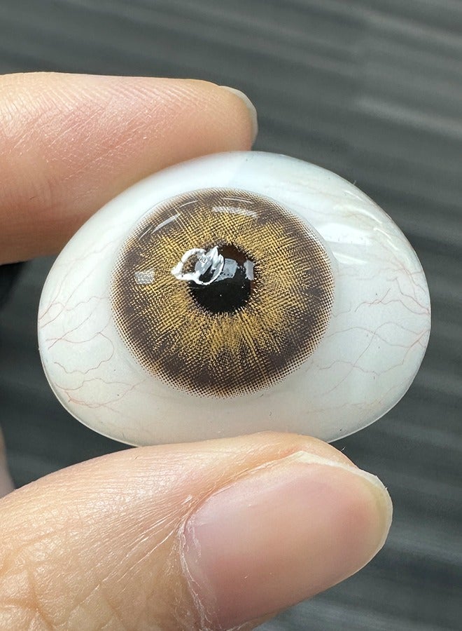 Freshlady Colored Contact Lenses Sahara Brown 14.20mm Yearly Disposable for Daily Wear - Image 5