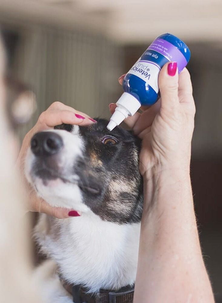 Vetericyn Antimicrobial Eye Wash Relieve Irritation And Burning For Cats Dogs Horses And Rabbits 89ml - Image 3