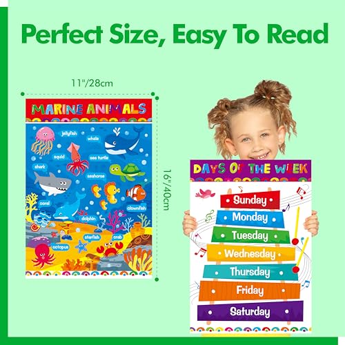 Gethelud 28 Educational Posters for Kids, All-in-One Set Learning Posters-Alphabet, Animals, Multiplication Chart, USA, World Map, Shapes, PET Film Coated School Supplies For Kindergarten, Preschool, Classroom - Image 3