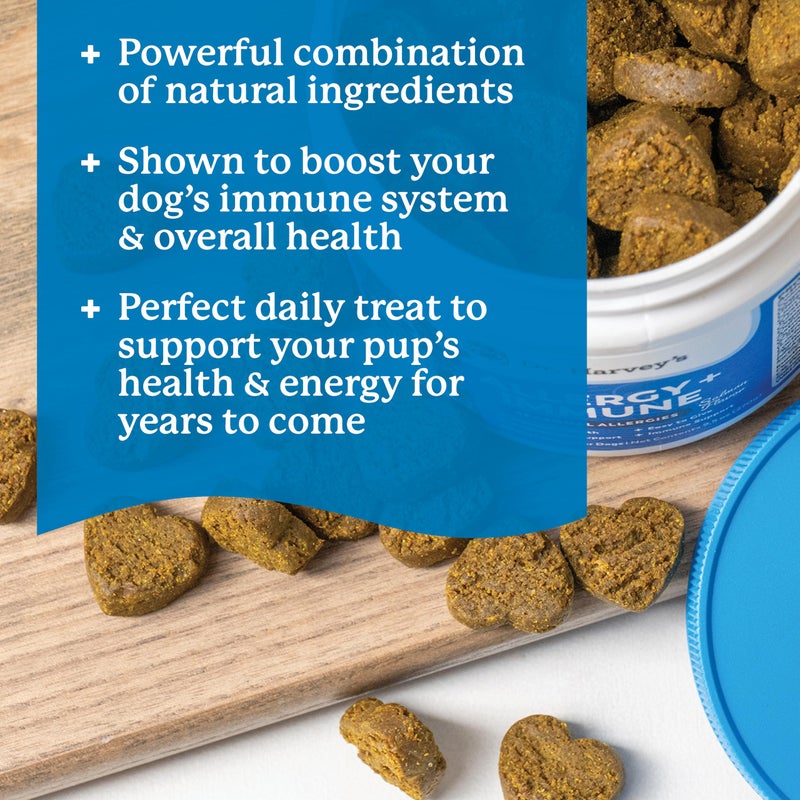 Dr. Harvey's Dog Allergy & Anti-Itch Relief Soft Chew Supplement Bites for Dogs, Daily Immune & Digestive Health Support with Functional Mushrooms, Super Herbs, Probiotics, Salmon Flavor (90 Chews) - Image 3