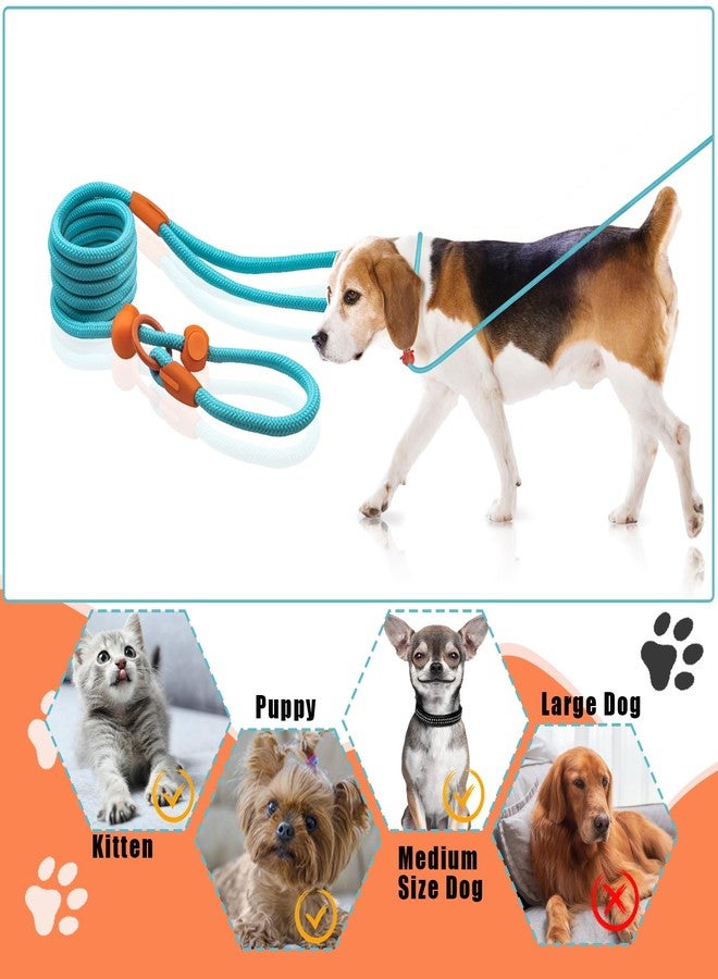 CUTEABC Slip Leads for Puppies & Medium Dogs - 5 FT Training Leash, Lightweight Rope, No Pull, Quick Loop, Blue - Image 5