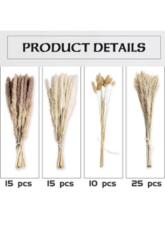 ماركة غير محددة المجففة Pampas العشب المجفف زهرة صغيرة بوص بوهيميا الزهور الطبيعية للزينة المنزلية زهرة غرفة المعيشة شرفة حفل زفاف ترتيب ذيل الأرنب الأبيض ريد 