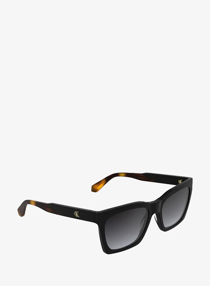 Calvin Klein Jeans  Cat Eye Sunglasses for Women | Best Price UAE