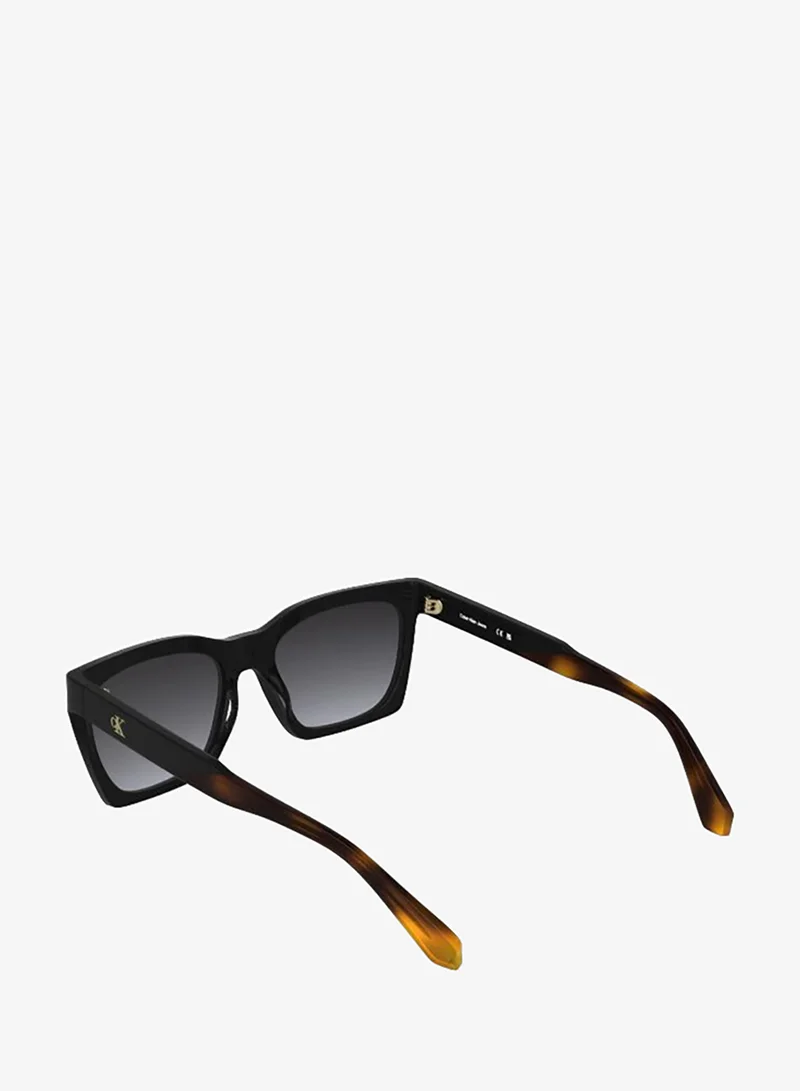 Calvin Klein Jeans  Cat Eye Sunglasses for Women | Best Price UAE