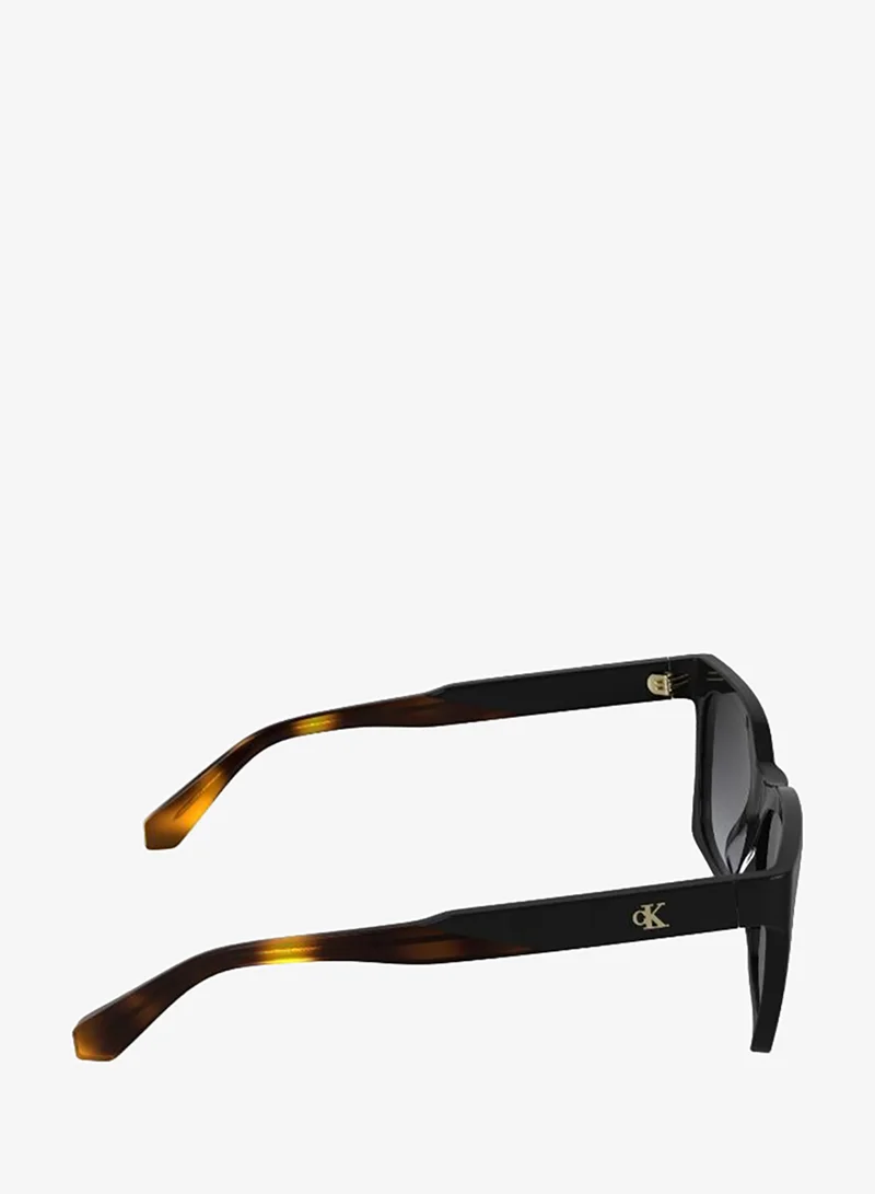 Calvin Klein Jeans  Cat Eye Sunglasses for Women | Best Price UAE