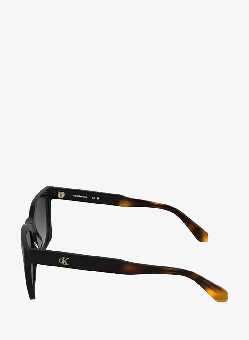 Calvin Klein Jeans  Cat Eye Sunglasses for Women | Best Price UAE