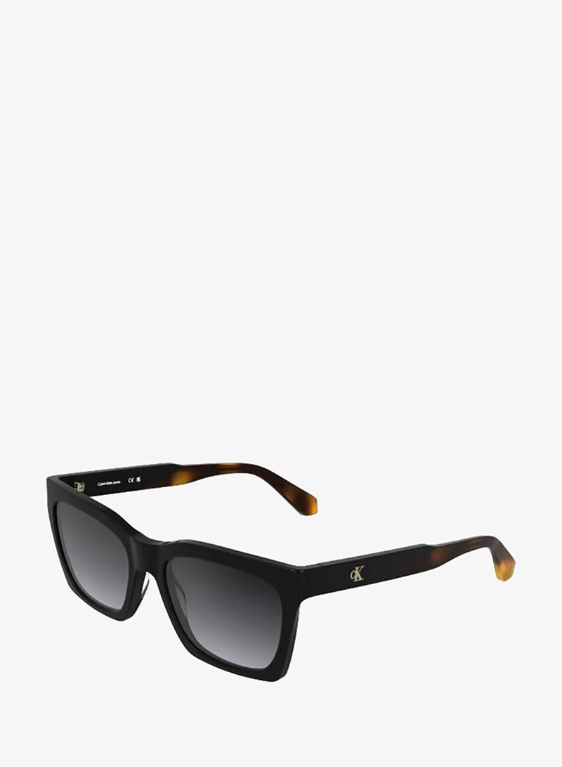 Calvin Klein Jeans  Cat Eye Sunglasses for Women | Best Price UAE
