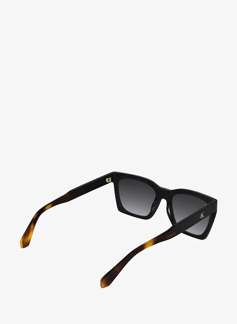 Calvin Klein Jeans  Cat Eye Sunglasses for Women | Best Price UAE