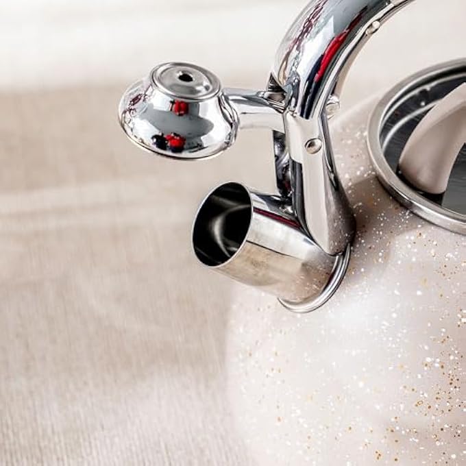 DANUBE HOME ChefS Delight Stainless Steel Whistling Kettle Durable Tea Kettle With Whistle Ideal For Boiling Water Elegant Design Perfect For Kitchen And Daily Use28L Beige - Image 3