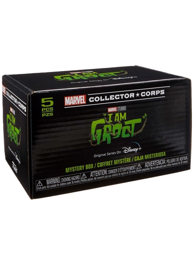 Funko Marvel Collector Corps Subscription Box, I Am Groot Disney+ Theme, L, Multicolor - Image 1