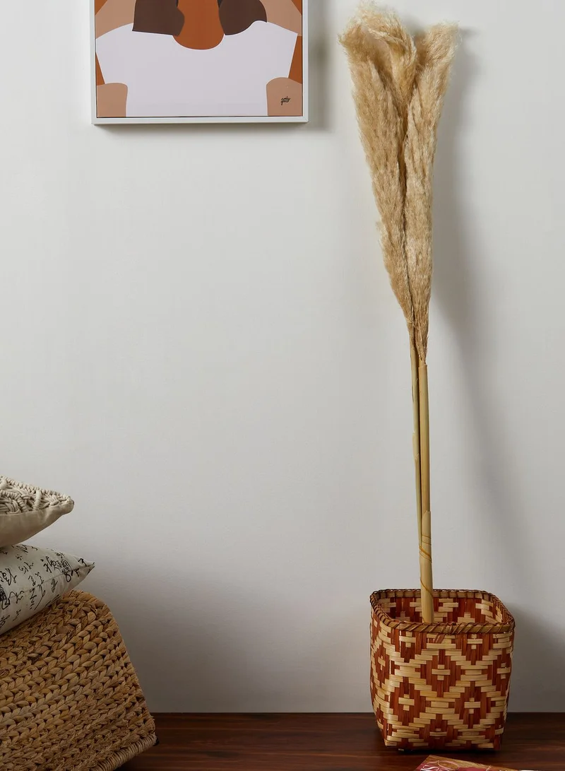 Noire Edit Set of 3 Natural Dried Pampas Grass Stems