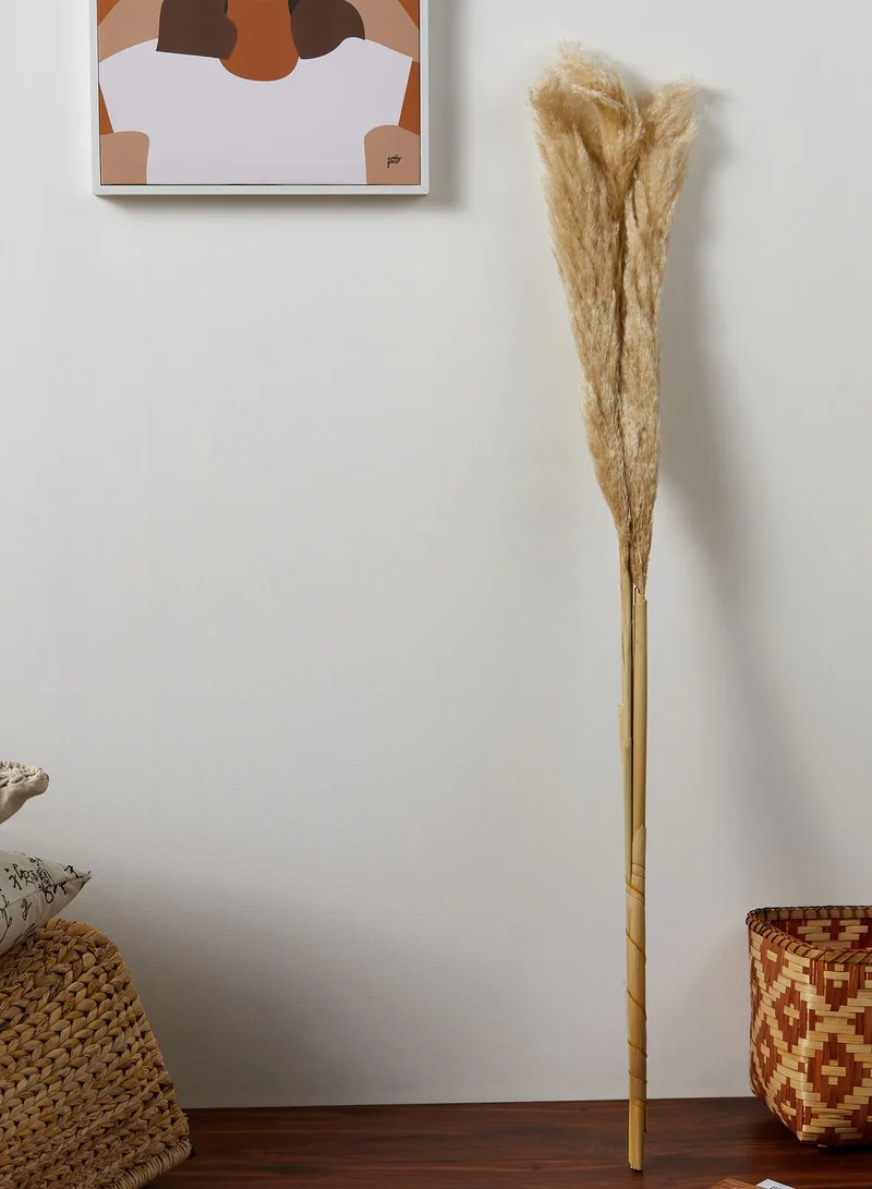 Noire Edit Set of 3 Natural Dried Pampas Grass Stems