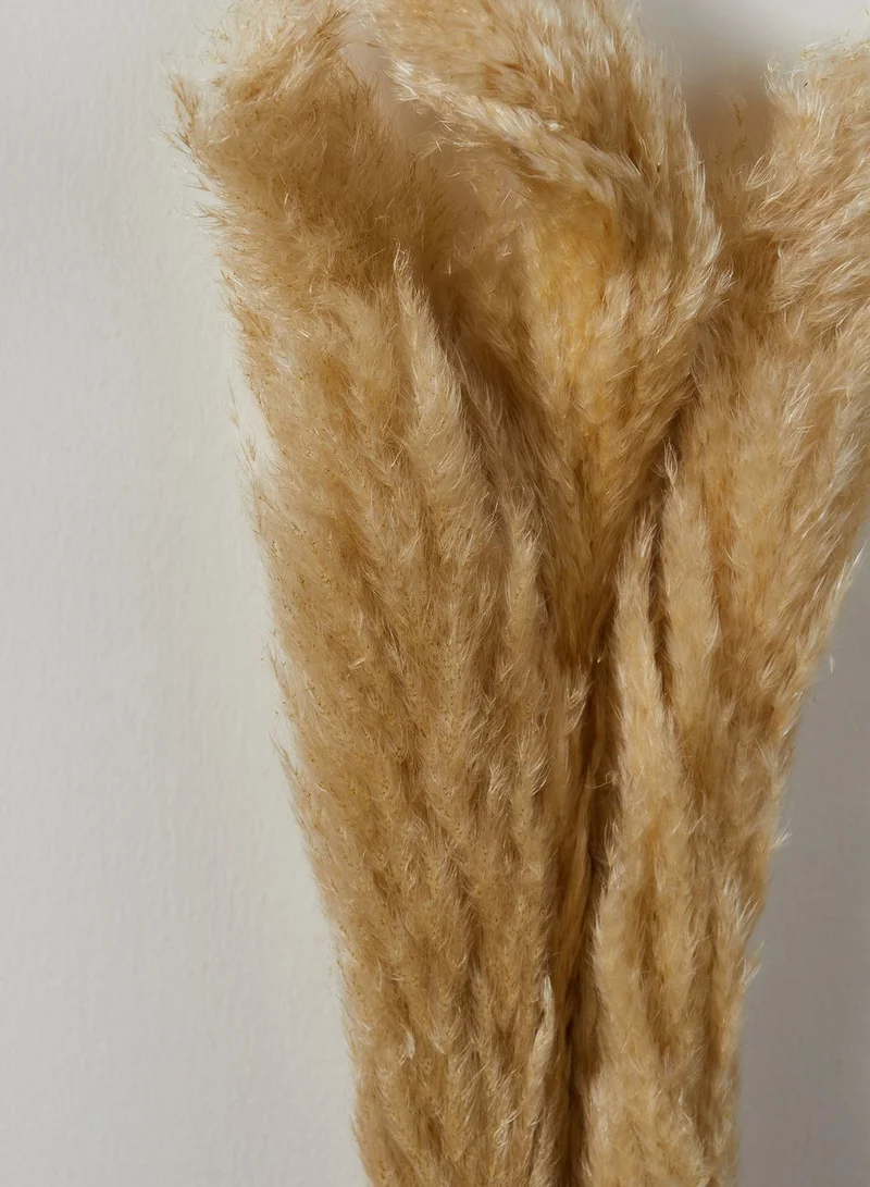 Noire Edit Set of 3 Natural Dried Pampas Grass Stems