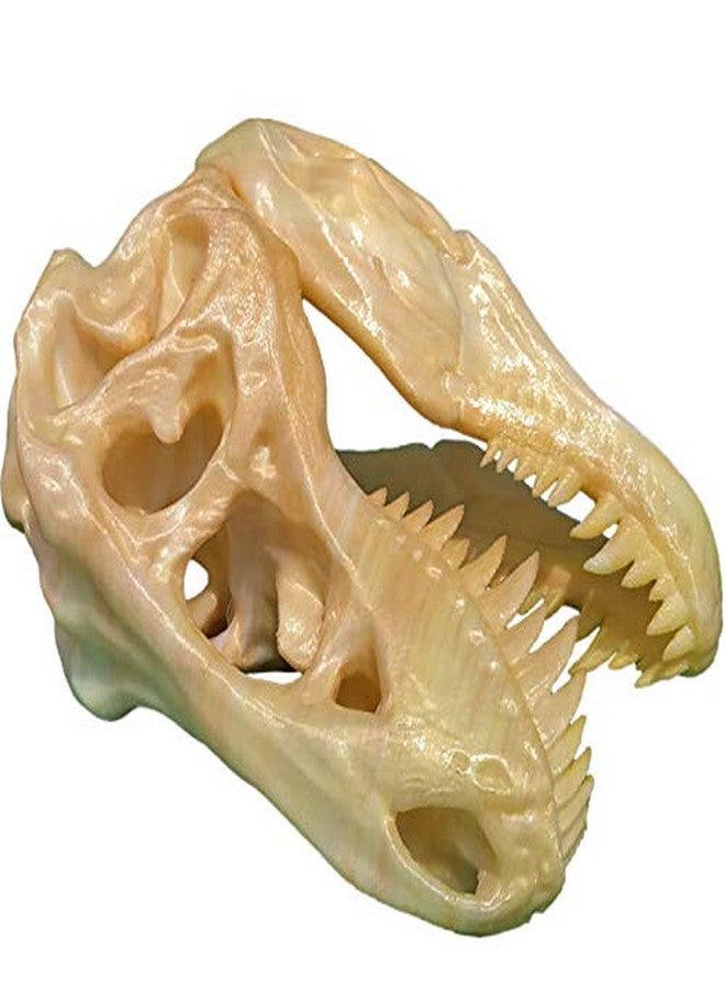 uneeke shape T Rex Skull: Dinosaur Skeleton, Realistic Look High Detailed Fancy Tyrannosaurus, Science Kit Jurassic Toy Cum Showpiece (Only Skull) - Image 5