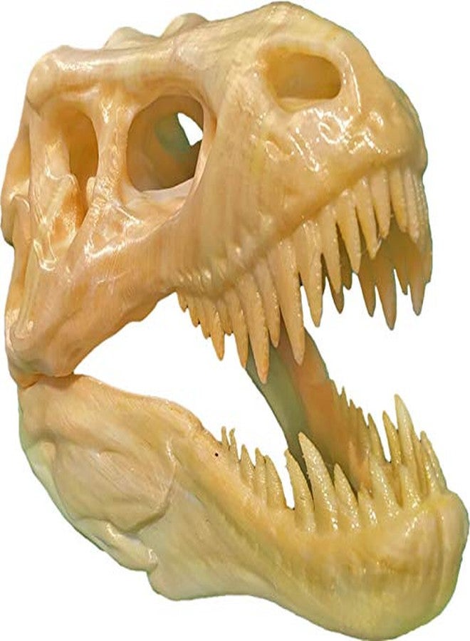 uneeke shape T Rex Skull: Dinosaur Skeleton, Realistic Look High Detailed Fancy Tyrannosaurus, Science Kit Jurassic Toy Cum Showpiece (Only Skull) - Image 4